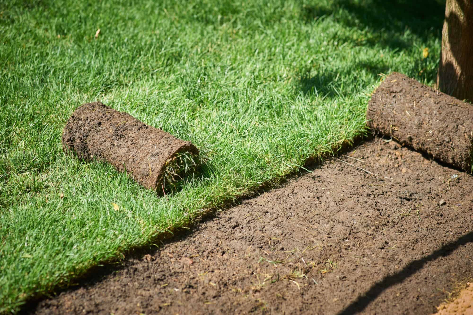 About Us - East Coast Sod - Jacksonville, FL